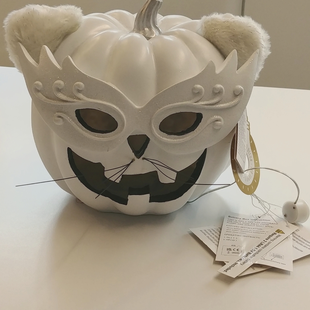 NWT Light Up Pumpkin Kitty Mascarade  Halloween Décor Lantern
